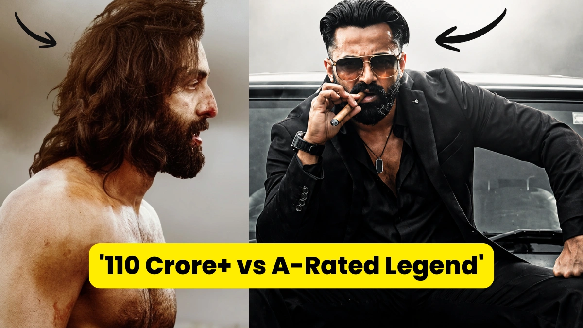 marco collection worldwide total